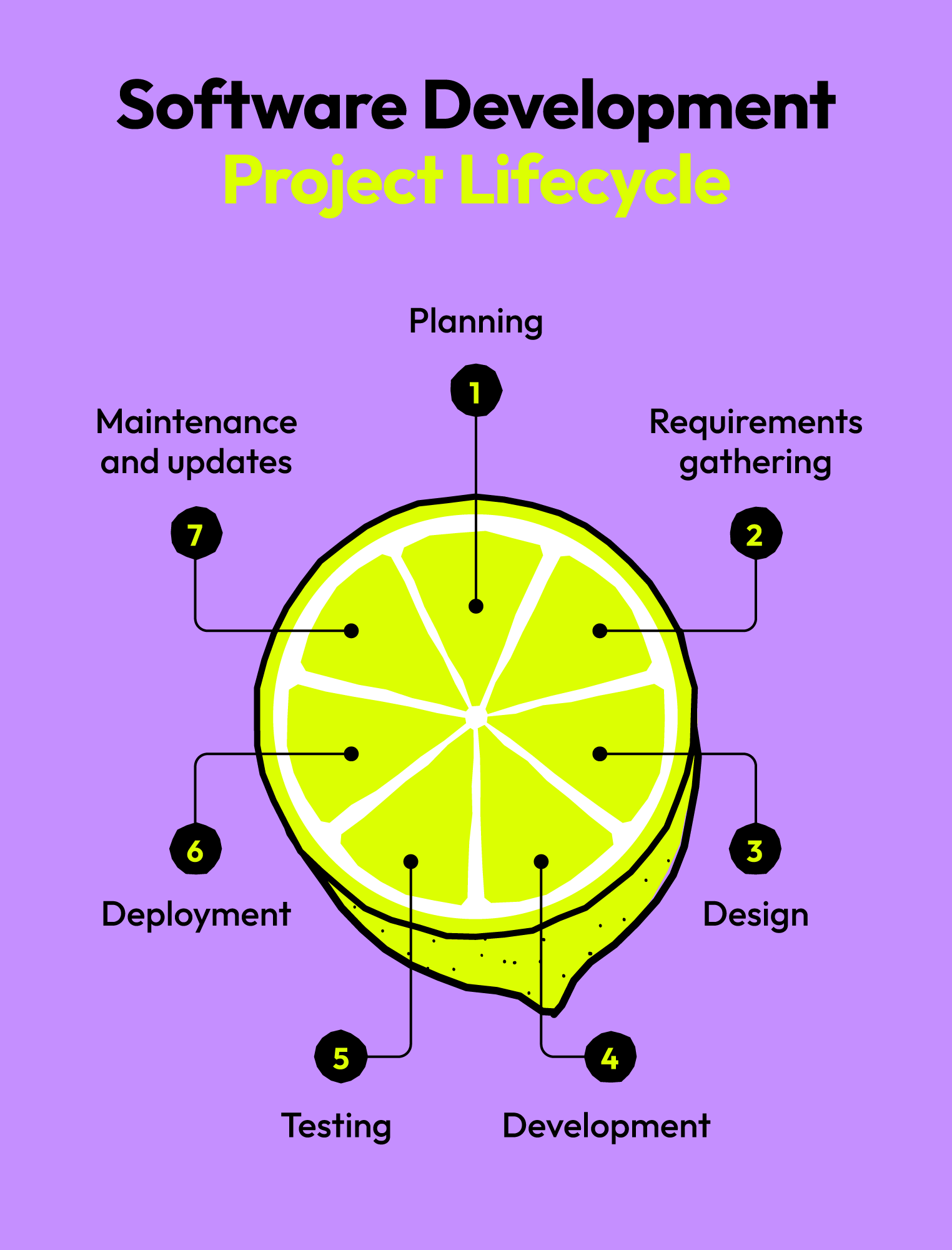 software development project lifecycle stages