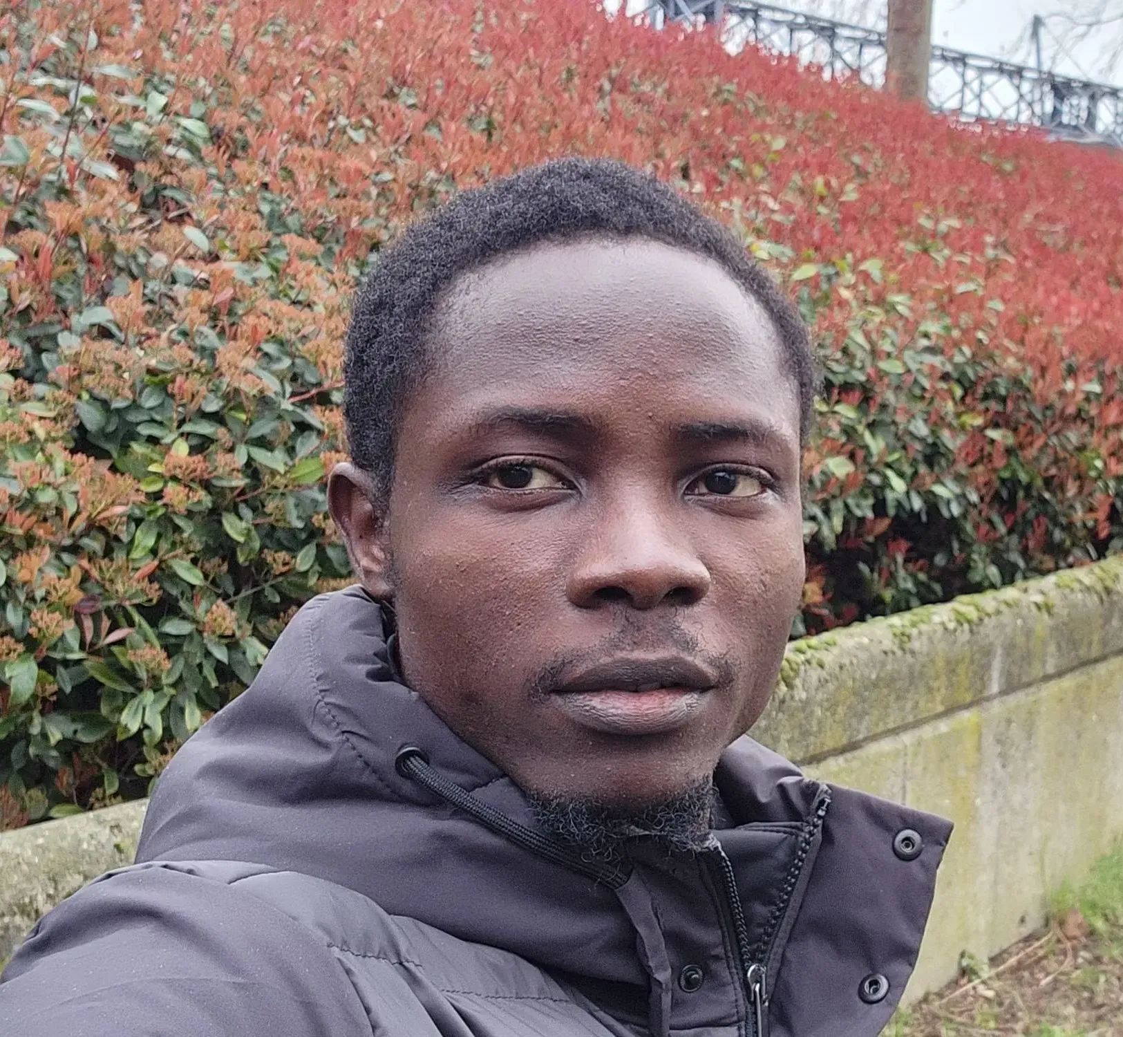 Oladapo